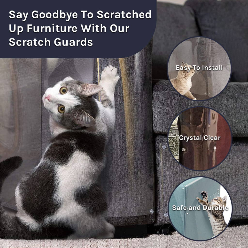 Cat scratching shield online